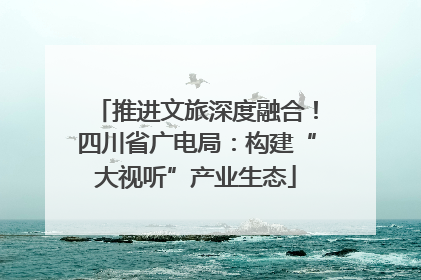 推进文旅深度融合！四川省广电局：构建“大视听”产业生态